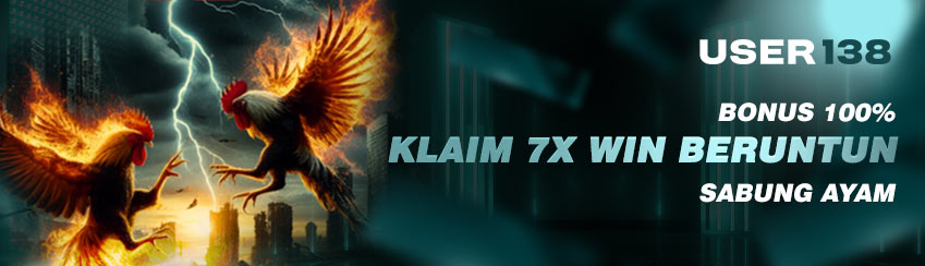 Menang Beruntun Sabung Ayam